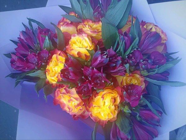 ������ ������� ������ �� ������� ������� ������� �� 10%