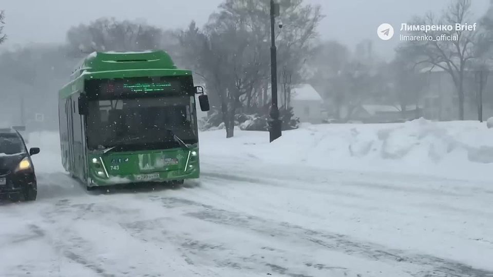 ������� ���������: ����� �� �������� ���������� ����������� ������� � ����������� �������