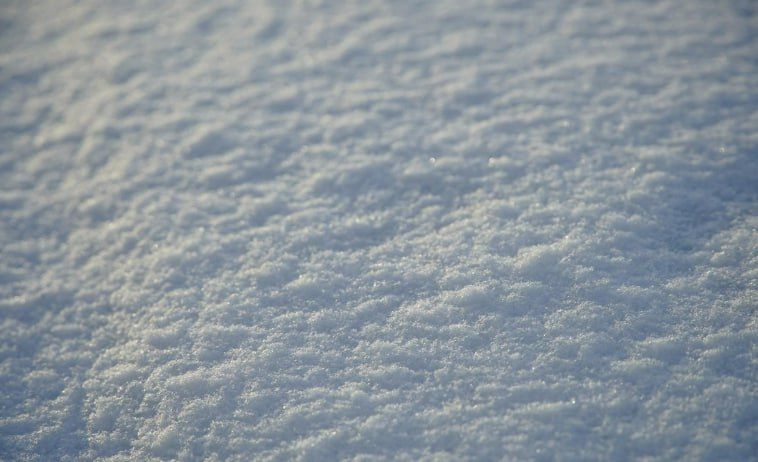 ������ ��������� ����������� �������� �� ���������� �������� ����� �� ��������