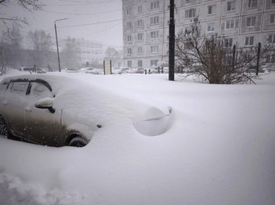 ���������� ����������� ������� �� ��������: ����� �������� ������ ���������