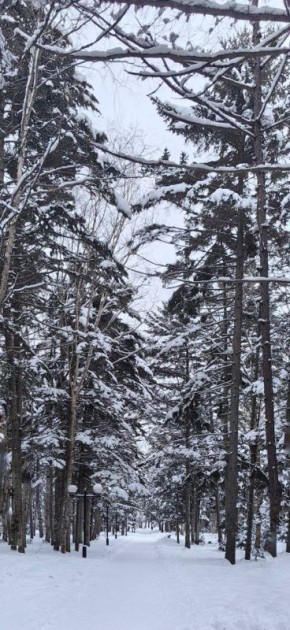 ������ ����, �����!. �� ���, ��������� ������ � ��������� ����� ������� ������