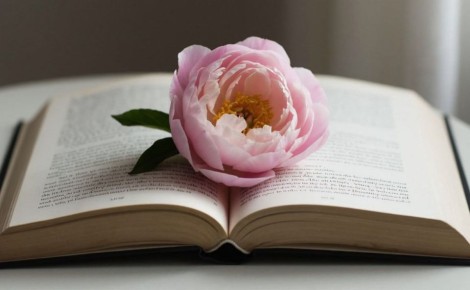 � ��� ����� ����!. ���� ����������� ������� ����� ������ � �����