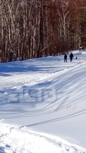 ������� �������� �� ����� �� ���������� ��������� "������" � ����-����������