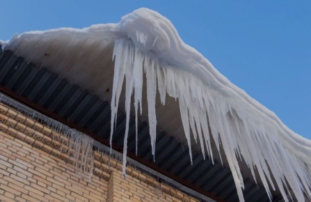 �� ����� ������� ������ �� ������� ��������� ��������� ����