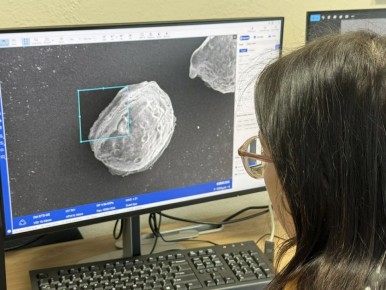 ����� ����������� ����������� ��������� �������� ����������������� ������� ������������ ���������������� ������������