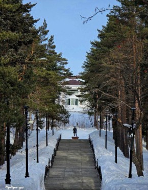 ������ ����, ����-���������!