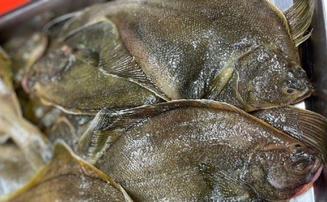 Где купить свежую треску, навагу и камбалу в Южно-Сахалинске по доступной цене