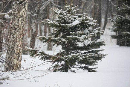 Доброе утро, Южный. Вот и начались долгожданные выходные