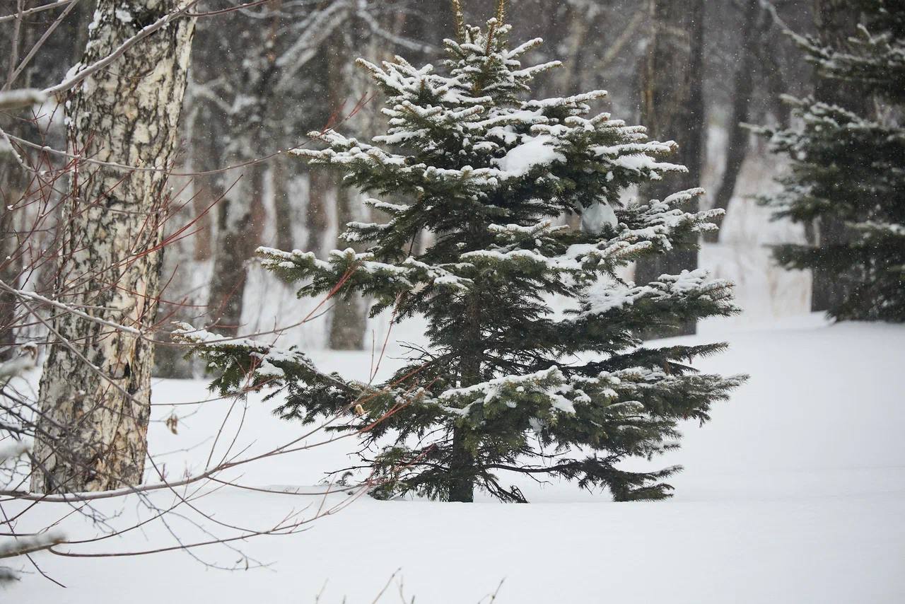 Доброе утро, Южный. Вот и начались долгожданные выходные