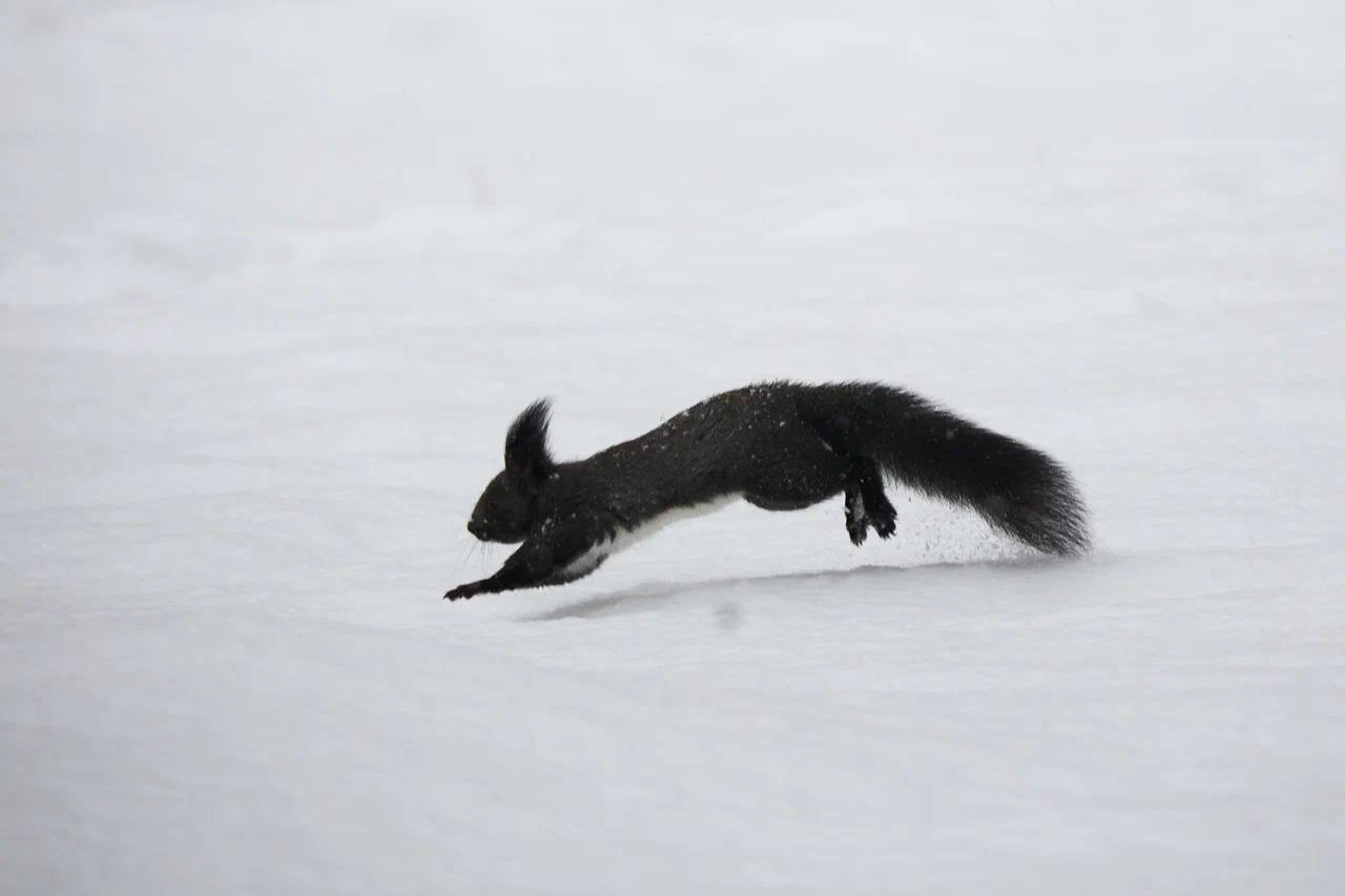Доброе утро, Южный. Вот и начались долгожданные выходные Доброе утро, Южный. Вот и начались долгожданные выходные