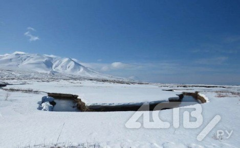 ��� ������: ��������� ��������������� �� +4 �������� �� ��� ��������