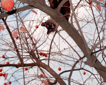 �� �������� ����, � �� ������� ����� ����: ������� ������ �� 18 �����