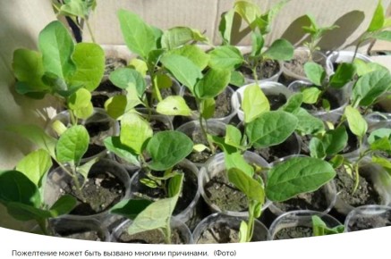 ������ � ������� ���������� ������� ������ � ��� � ���� ������