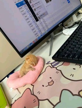 Доброе утро. Ровно 60 лет назад на космодроме Плесецк запустили первый космический аппарат