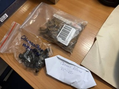 ���������� ������, �������� ������������� � ������, � ����� ����� ��� ������ ������� � ����������� ������������ ����