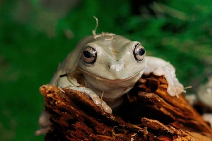 ����������� ������� ������� ����� ��������� � �� ����� ���������� �� ��������� ���� �������