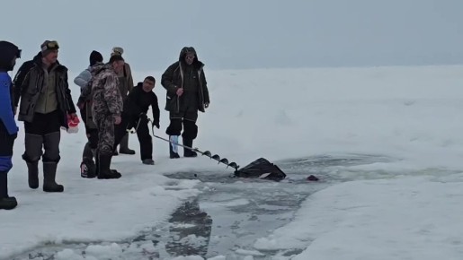 ������ �� ��������� �������� �� ������� �� �������