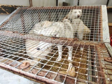 ��������� ���� �� ������ ������������ ����� � ��� ������ ��� ���������