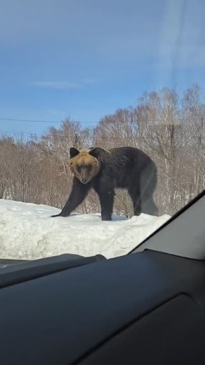 �������� �����: �� �������� ���������� �������