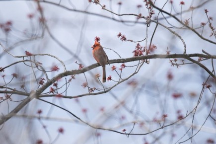 �� +4�, ������� ������: ������� ��� ����������� ������� �� 22 �����