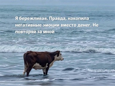 � �� ������ ������ ������?