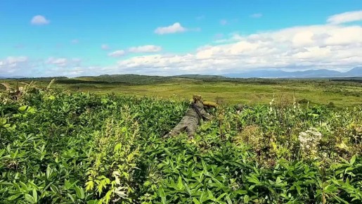 �� �������� ����������� ��������������� �������� �������� � ���������� �� ������������� ����������� �������