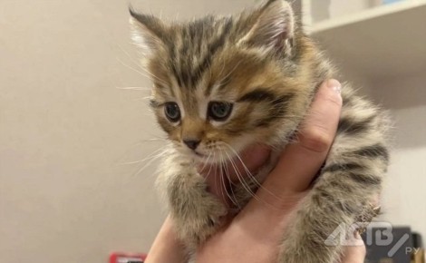 �� �������� ��� 18 ������� �������� ��-�� �������������������� ��������