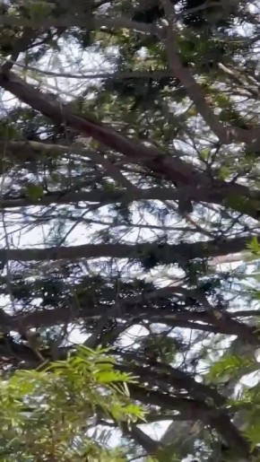 �������� ����� �� ������ ���������