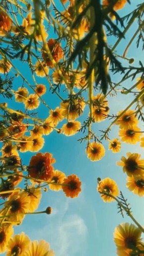 ������ ����!. ������� ��������� ���� ������ � ������������