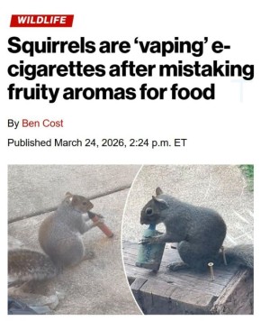 ����� ������ ������������ ������� � �������� ���� �������