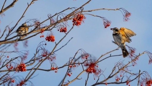 ���������� �� +9 ��������. ��������� ������� ������ �� 26 ����� � ����������� ������� ������� �����