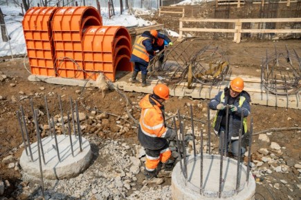 ��������� ������� ������������ ������ �������� � 2029 ����