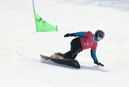 ���������� ������������ �������� ��������� ������ ���������� �������