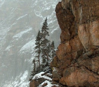 ��� ���������� � �����: ����� ��������� ������