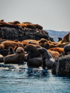 ��������� ���������� � �������� ��������� ���������