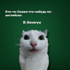 ������ ���� ���� ����������� ����?