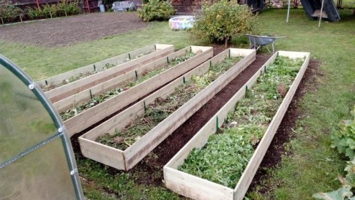 ������ ������ ������: ��� �� ������� � ����� �� ��� ��������