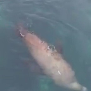 ����� ���� � ������� ������� ���� ������� �������� �����