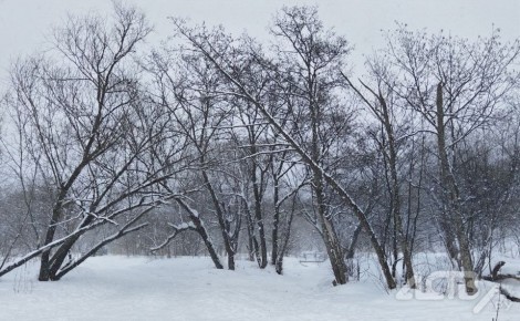 ������ ����������� ����: ��������� �������� ������� ������ �� ��� �������� 29 �����