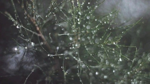 ����� � �������� ����� � ����-���������� 30 �����