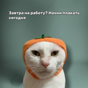 �������� ������ � ����� ������� ������?