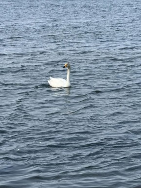 �������� ������ �� ������� � ������� � ���������