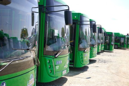 � ����-���������� �������� �71 � 81 ������ ������ �� ������ �������