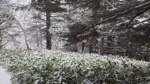 Доброе утро, Сахалин и Курилы