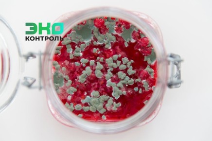 ��� ������ � ��������, ���� �� ��� �������?