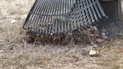 ������ ��������: ������! �������, 1 ������, � ����-���������� �������� ����������� ������ ������ ����� ����