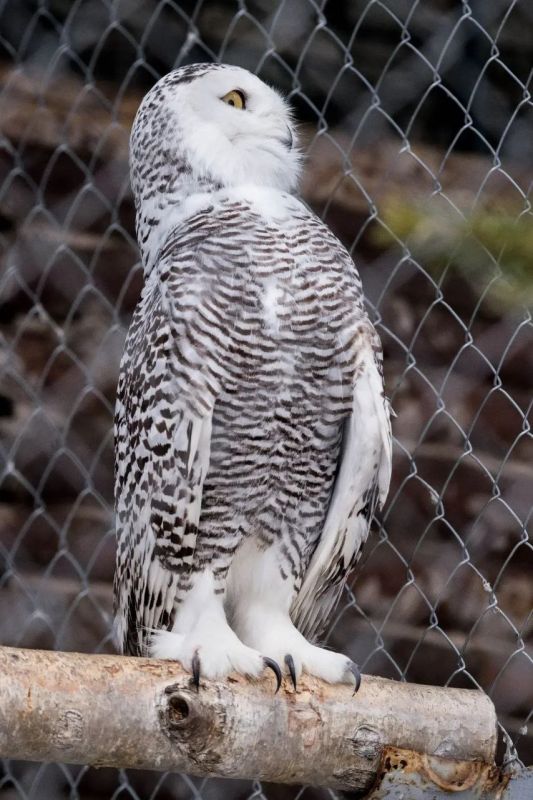 Улыбнитесь, смотря на эти кадры