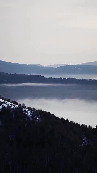 ������ ����, ������� � ������