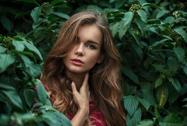 ������������ �����, ������� ����� ��������� ���� ���������