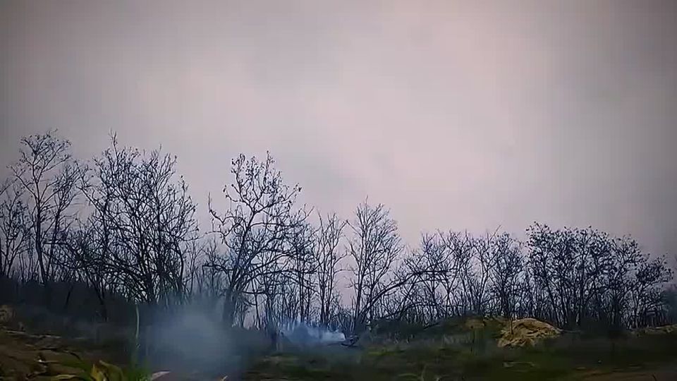 ������� � ���������. ������� �� ��������!